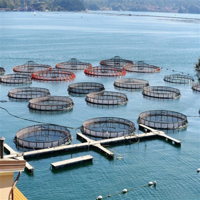 Aquaculture
